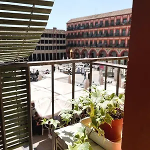 https://agradable-casa-en-plena-plaza-de-la-corredera.es-andalucia.com